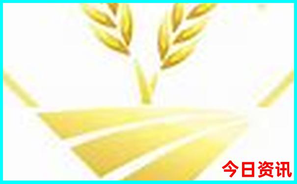 安徽景区有哪些景点推荐
